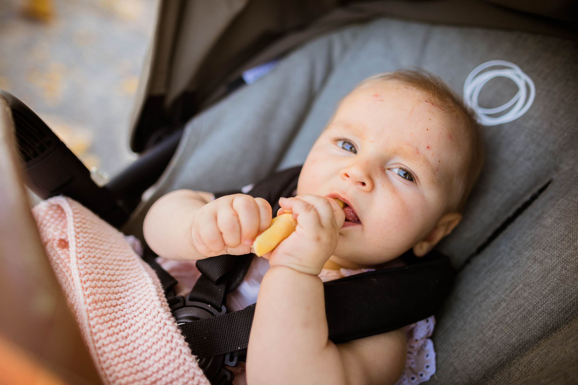 Export x3 1DX23291 Hochzeit 2020 Muriel & Trevor